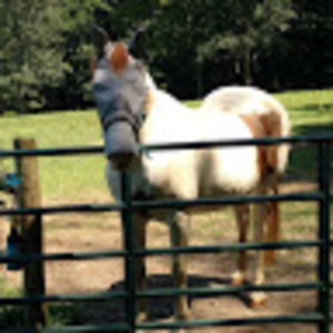 Meet your Posher, Beth